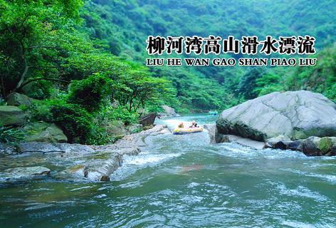 “小女孩”黑利：“比赛还远未结束”